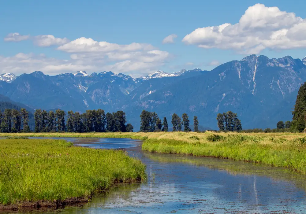 Getting to Know Pitt Meadows